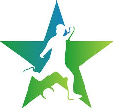 [中超]第29轮：上海申花1-0深圳新鹏城 集锦