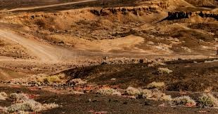 我特别想和河南球迷说几句掏心窝子的话