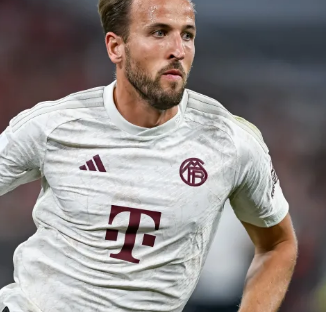 他是中国的 他是中国的