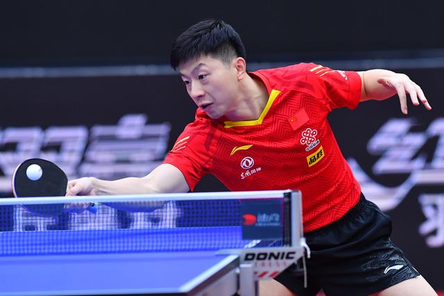 他们可以在 他们可以在